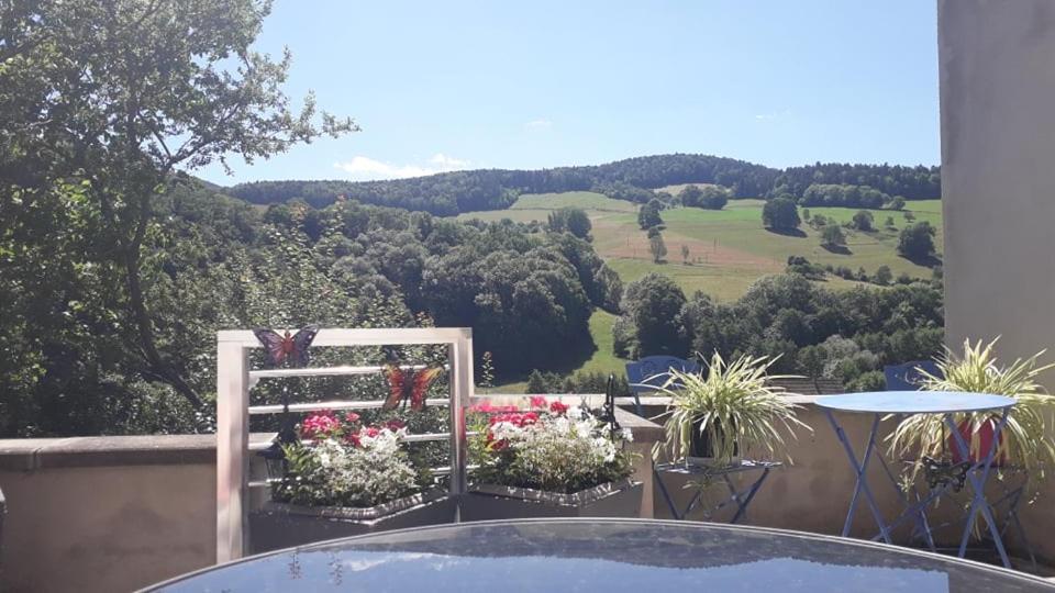 Gite Moderne Proche De Kaysersberg Av Jacuzzi Prive Orbey Exterior foto